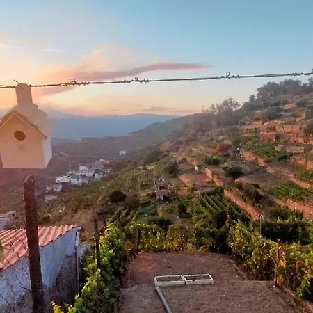Casa Da Bela Vista - Figueira Do Douro - Lamego